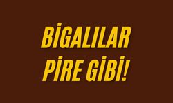 Bigalılar pire gibi!