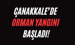 Çanakkale’de orman yangını başladı!