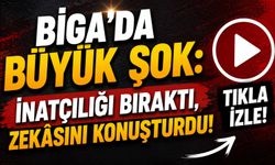 Biga’da büyük şok: İnatçılığı bıraktı, zekâsını konuşturdu!