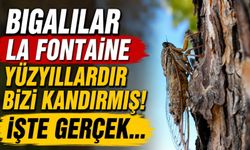 Bigalılar La Fontaine yüzyıllardır bizi kandırmış! İşte gerçek…