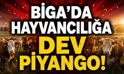 Biga'da hayvancılığa dev Piyango!