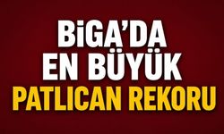Biga'da en büyük patlıcan rekoru