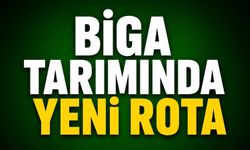 Biga tarımında yeni rota