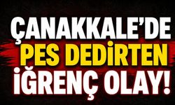 Çanakkale'de pes dedirten iğrenç olay!
