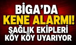 Biga'da kene alarmı! Sağlık ekipleri köy köy uyarıyor