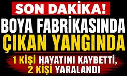 Boya fabrikasında çıkan yangında 1 kişi hayatını kaybetti, 2 kişi yaralandı
