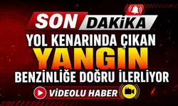 SON DAKİKA: Yol Kenarında Çıkan Yangın Benzinliğe Doğru İlerliyor
