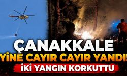 Çanakkale Yine Cayır Cayır Yandı! İki Yangın Korkuttu