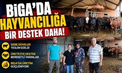 Biga’da hayvancılığa bir destek daha!