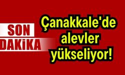 Çanakkale'de alevler yükseliyor!