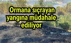 Ormana sıçrayan yangına müdahale ediliyor