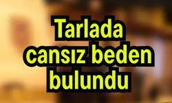Tarlada cansız beden bulundu
