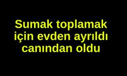 Sumak toplamak için evden ayrıldı canından oldu