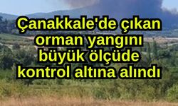 Çanakkale'de çıkan orman yangını büyük ölçüde kontrol altına alındı