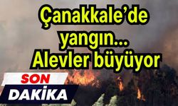 Çanakkale’de yangın… Alevler büyüyor