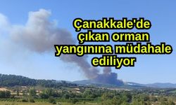 Çanakkale'de çıkan orman yangınına müdahale ediliyor