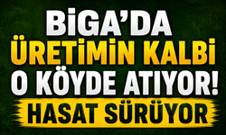 Biga’da üretimin kalbi o köyde atıyor! Hasat sürüyor