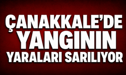 Çanakkale’de yangının yaraları sarılıyor