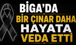 Biga’da bir çınar daha hayata veda etti