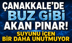 Çanakkale’de buz gibi akan pınar! Suyunu içen bir daha unutmuyor