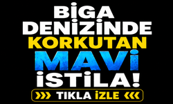 Biga denizinde korkutan mavi istila