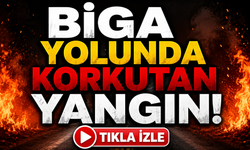 Biga yolunda korkutan yangın!