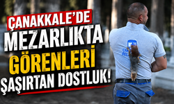 Çanakkale’de mezarlıkta görenleri şaşırtan dostluk!