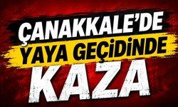 Çanakkale’de yaya geçidinde kaza