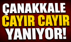 Çanakkale cayır cayır yanıyor!