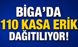 Biga’da 110 kasa erik dağıtılıyor!