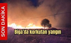 Son Dakika! Biga'da korkutan yangın