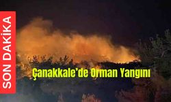 Son Dakika! Çanakkale'de Orman Yangını!