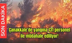 Çanakkale'de yangına 131 personel ile müdahale ediliyor (Video)