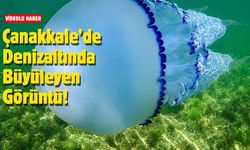 Çanakkale’de Denizaltında Büyüleyen Görüntü!