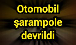 Otomobil şarampole devrildi