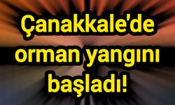 Çanakkale'de orman yangını başladı!