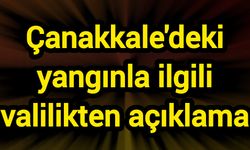 Çanakkale'deki yangınla ilgili valilikten açıklama