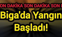 Biga'da Yangın Başladı!