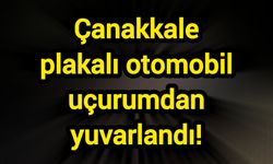 Çanakkale plakalı otomobil uçurumdan yuvarlandı!