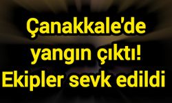 Çanakkale'de yangın çıktı! Ekipler sevk edildi