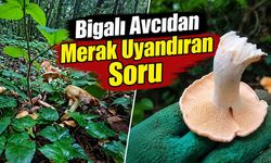 Bigalı Avcıdan Merak Uyandıran Soru