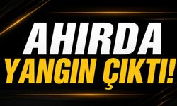 Ahırda yangın çıktı!