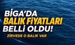 Biga’da balık fiyatları belli oldu! Zirvede o balık var