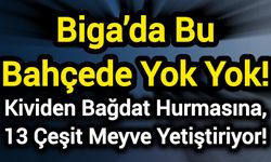 Biga’da Bu Bahçede Yok Yok! Kividen Bağdat Hurmasına, 13 Çeşit Meyve Yetiştiriyor!
