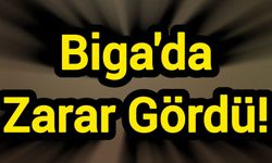 Biga'da Zarar Gördü!