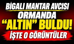 Bigalı mantar avcısı ormanda "altın" buldu! İşte o görüntüler