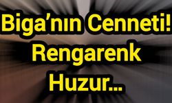 Biga’nın Cenneti! Rengarenk Huzur…