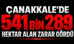 Çanakkale'de 541 bin 289 hektar alan zarar gördü