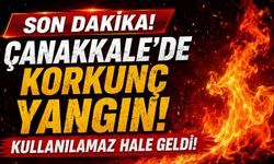 Çanakkale’de korkunç yangın! Kullanılamaz hale geldi