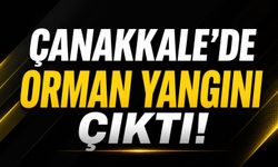Çanakkale’de orman yangını çıktı!